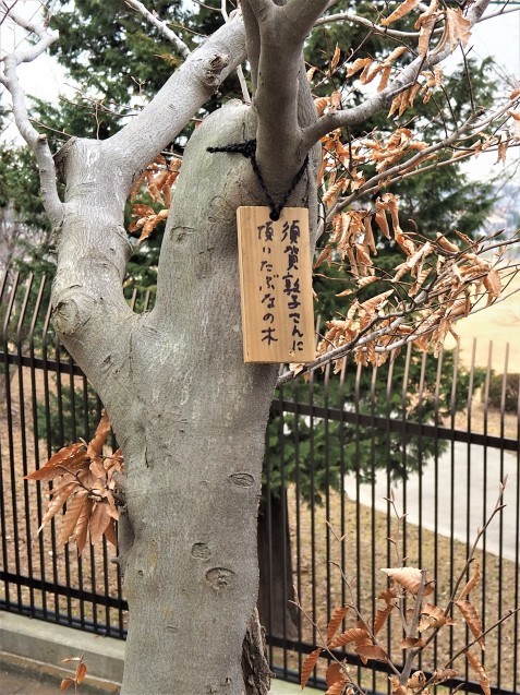 庄野潤三邸に行ってきました 家暮らしノート 庄野潤三邸に行ってきました 家暮らしノート