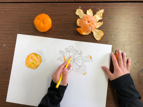 みかんのデッサン おがわこども絵画 造形教室 愛知県小牧市で1998年から開講 お問合せ先omomi422 Gmail Com みかんのデッサン おがわこども絵画 造形教室 愛知県小牧市で1998年から開講 お問合せ先omomi422 Gmail Com