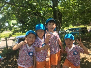 a0051662_16212494.jpeg