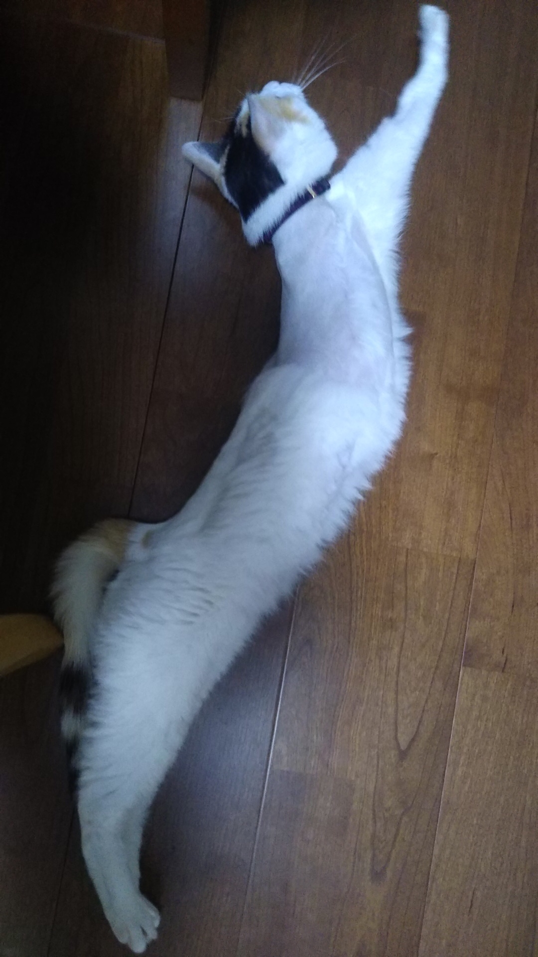 b0377882_17554455.jpeg