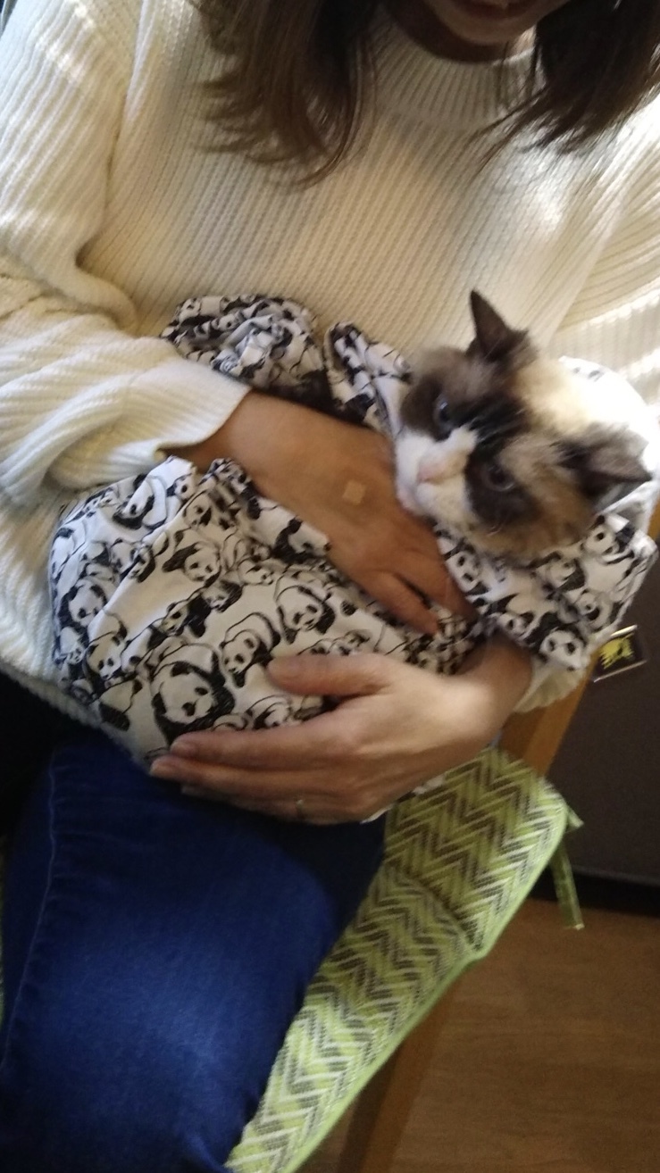 b0377882_18001263.jpeg