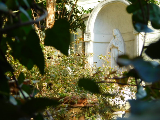 c0084183_10311478.jpg