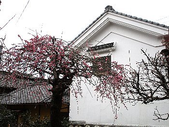 f0003283_07070564.jpg