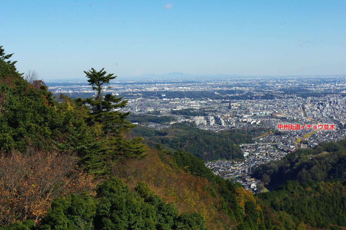 b0123486_11585542.jpg