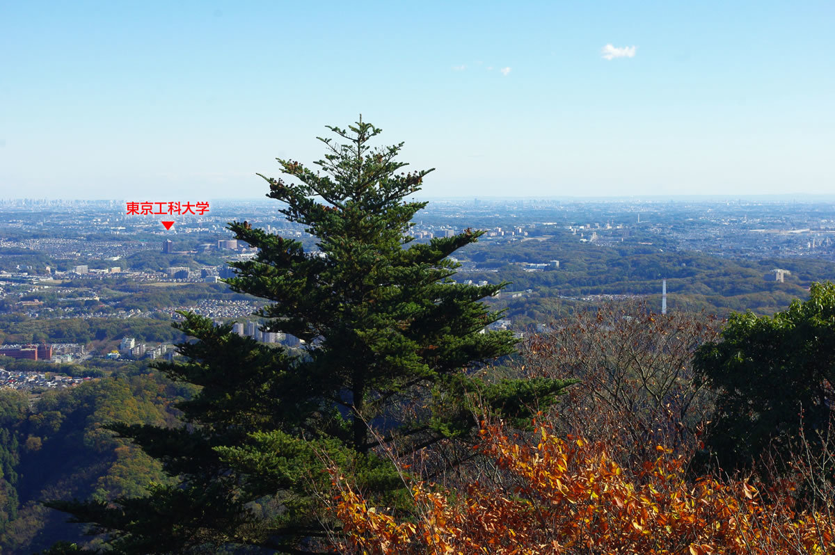 b0123486_12085650.jpg