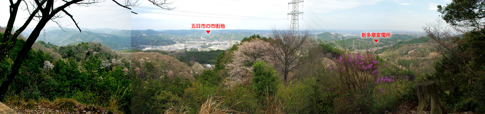 b0123486_12405888.jpg