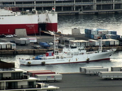b0192588_10271629.jpg