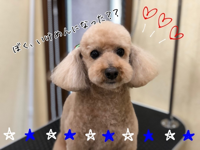 d0269898_18342109.jpeg
