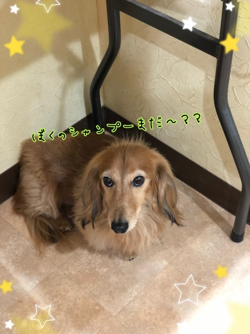 d0269898_18355259.jpeg