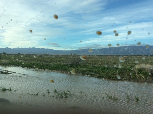 a0331910_14161703.jpeg