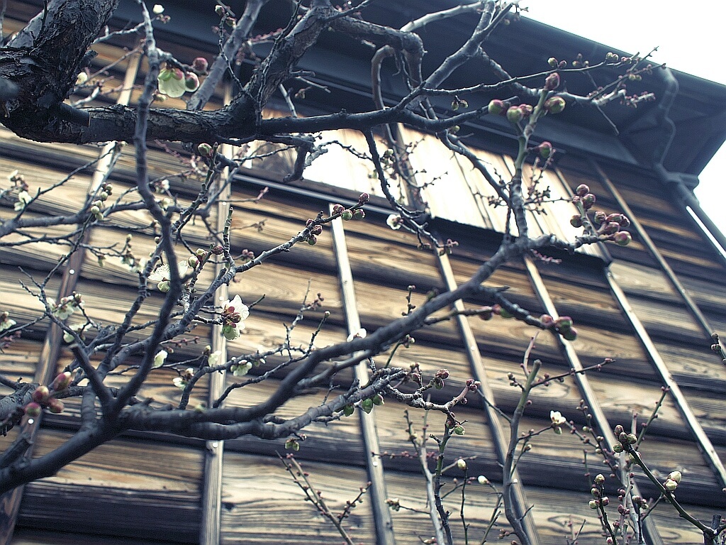 e0364711_21510151.jpg