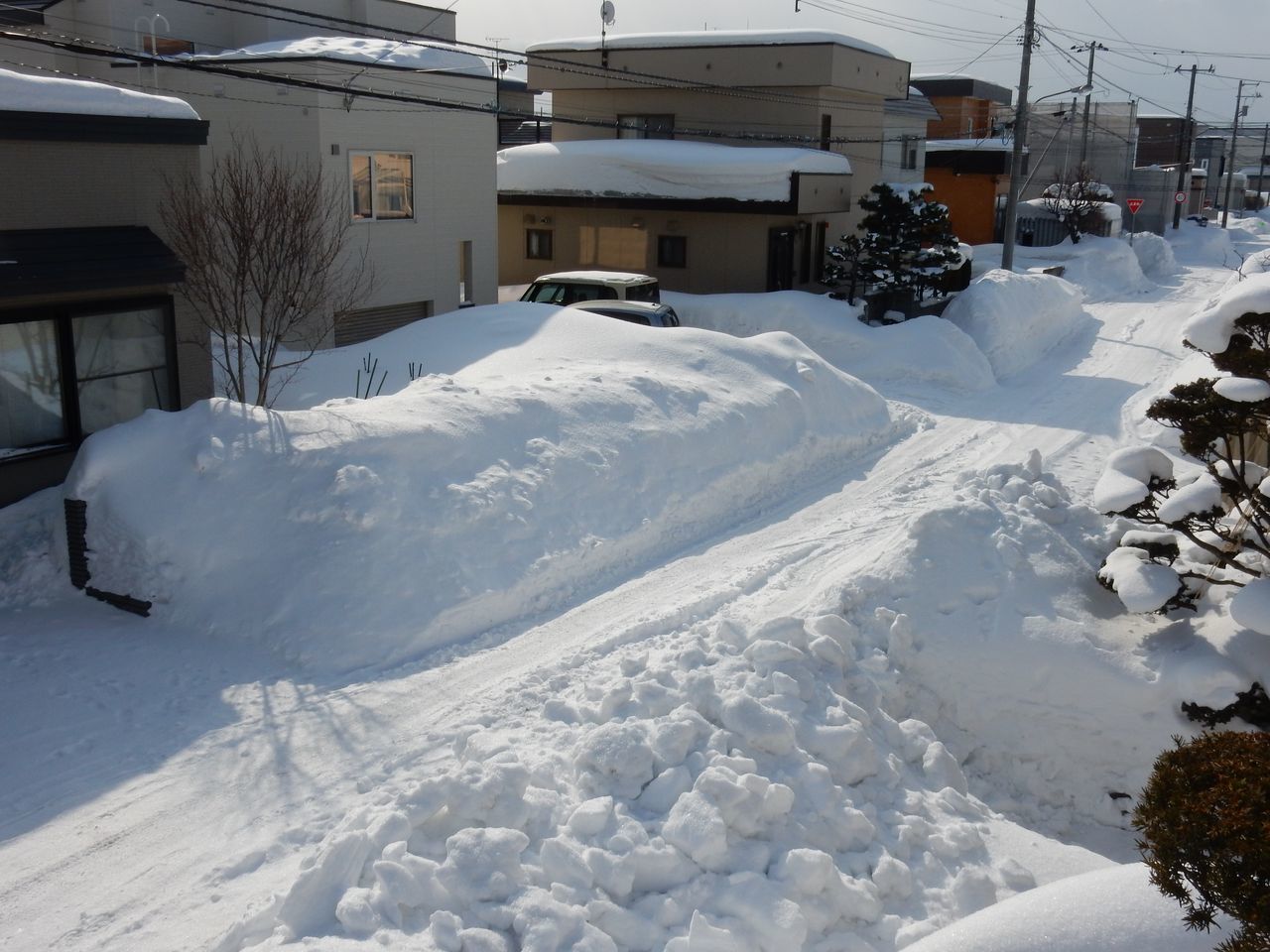 じわじわと暖期に_c0025115_22233609.jpg