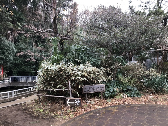 f0233916_04364919.jpg