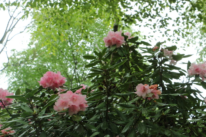 b0258821_21255415.jpg
