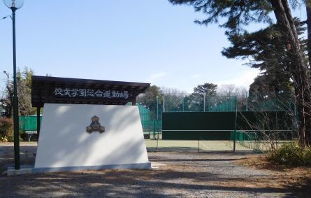 「30分歩き・佼成学園運動場付近」歩く＃32_b0089323_14042703.jpg