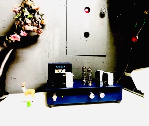 AMPS!_a0168628_11492687.jpg