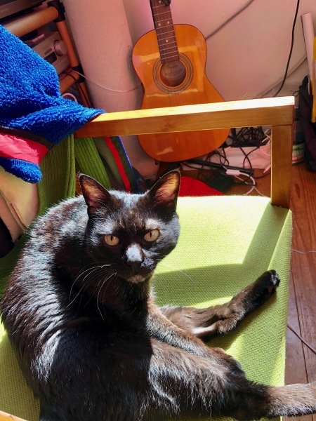 d0371433_10154671.jpeg