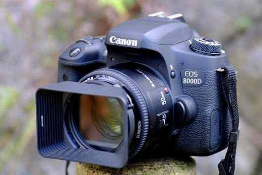 デジタル一眼レフ・クラッシックス(21)「CANON EOS 8000D」 : 【匠の