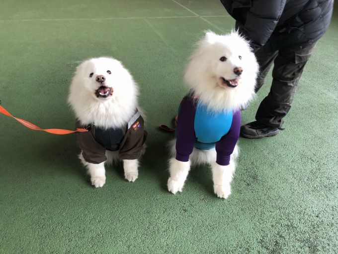 2019年ワフ 雪遊びオフ その2_f0128542_02053724.jpg