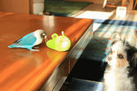 c0145250_16510411.gif