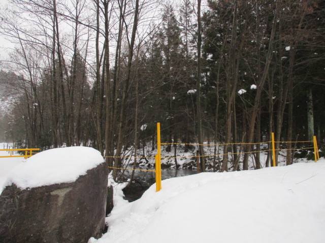 c0080863_16021733.jpg