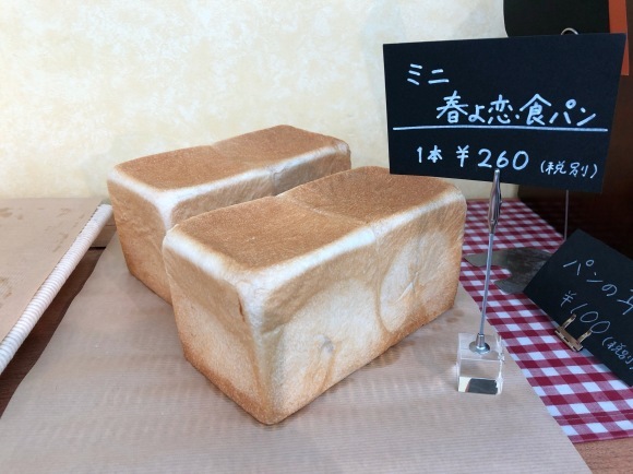 b0298565_17412694.jpeg