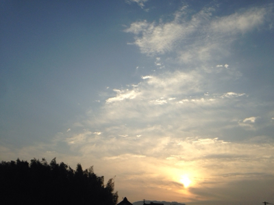日々の浄化とグラウディング***_e0290872_17362684.jpg