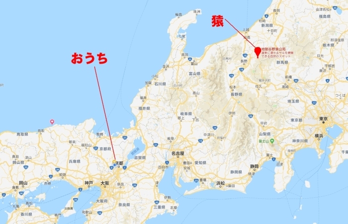 猿温泉に行ってきた 湯田中 渋温泉 地獄谷野猿公苑 下道でいこう 物欲買いの銭失い