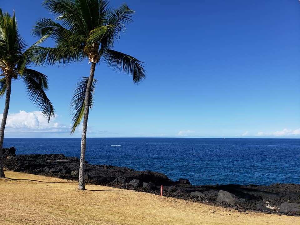 c0186691_10205607.jpg