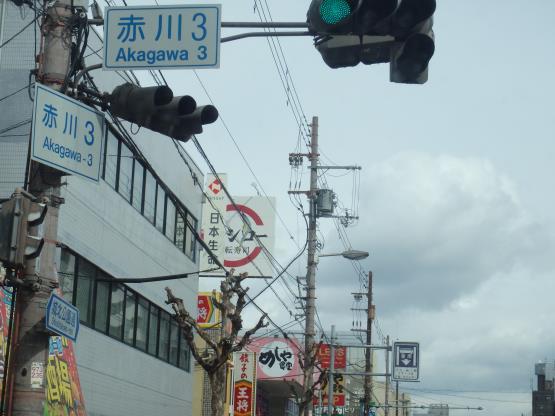 c0118393_17232438.jpg