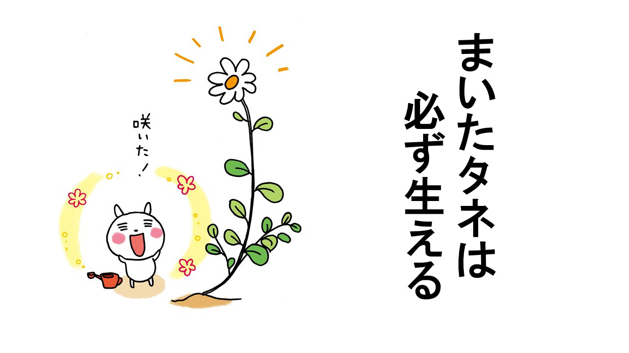 どちらにしても因果応報 菊如徒然