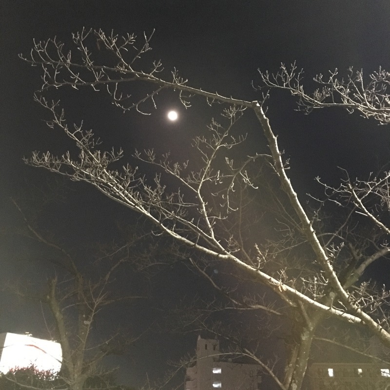和太鼓_b0220002_21445790.jpeg