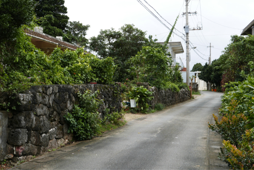 海界の村を歩く 東シナ海 多良間島_d0147406_17552879.jpg