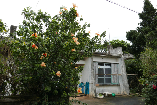 海界の村を歩く 東シナ海 多良間島_d0147406_17553644.jpg