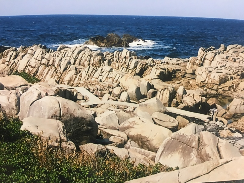 c0027309_12155229.jpeg