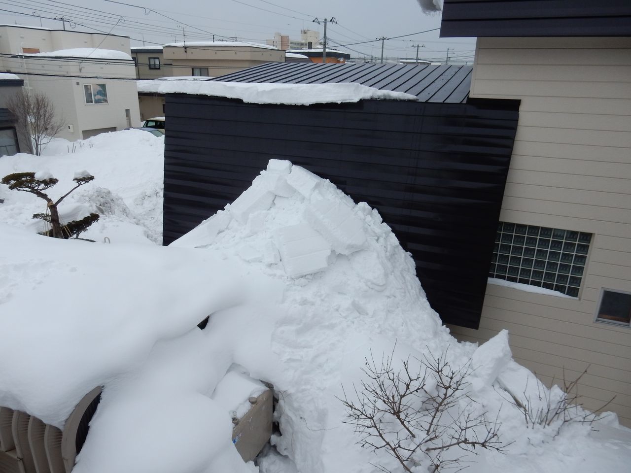 寒くはない真冬日復活_c0025115_22030656.jpg