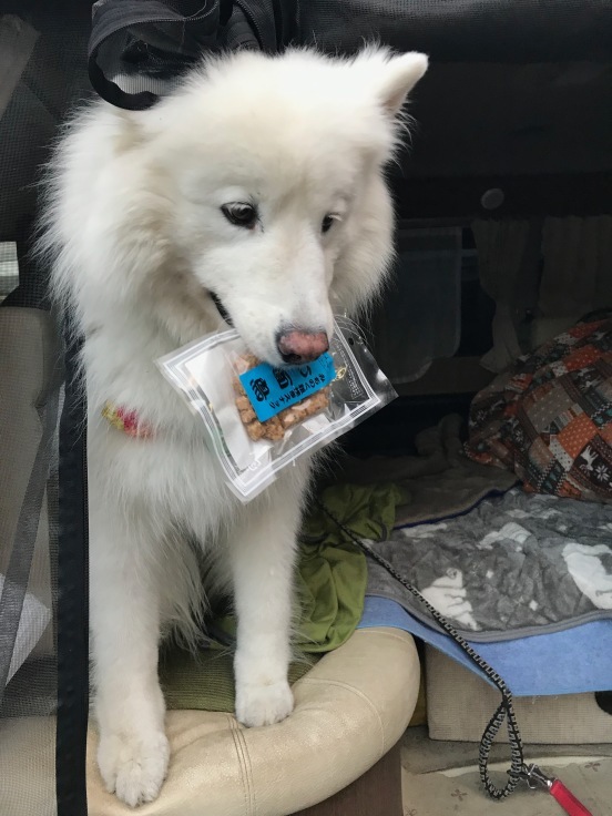 f0234023_19235681.jpeg