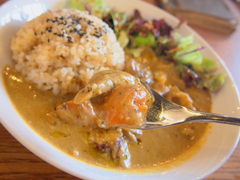 薬膳根菜カレー：mobile（鶴田町）_b0147224_16262667.jpg