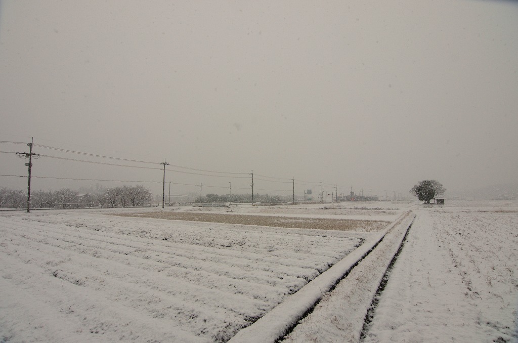 c0106831_00054048.jpg