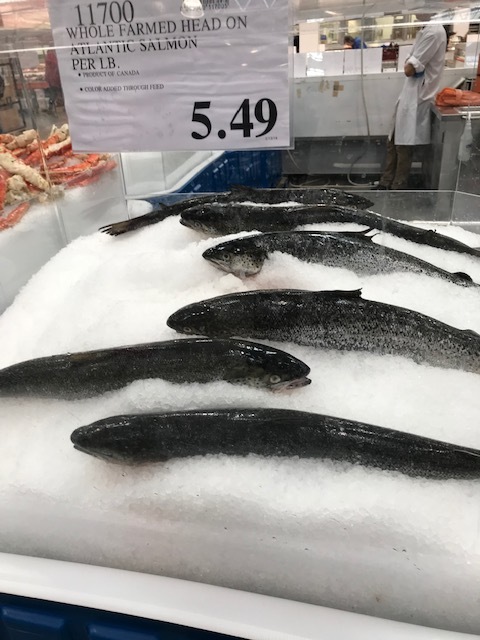 d0269832_11523177.jpeg