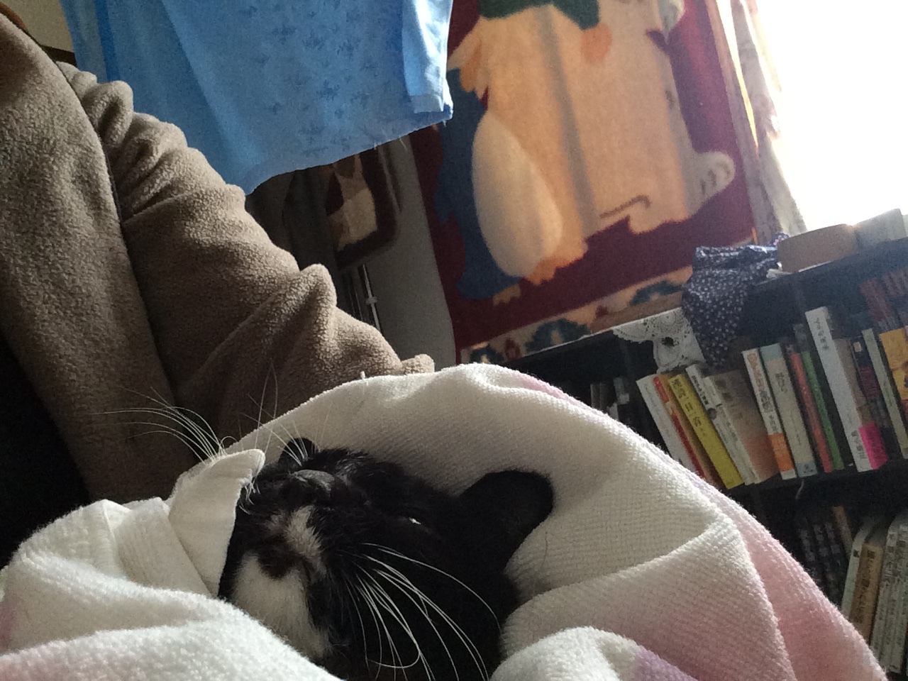 b0134838_09421223.jpeg