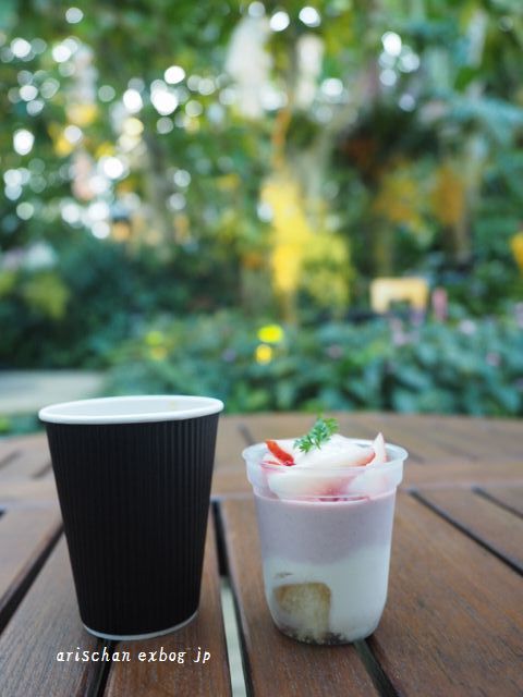 牧野植物園の蘭展２０１９☆_f0295238_13272984.jpg