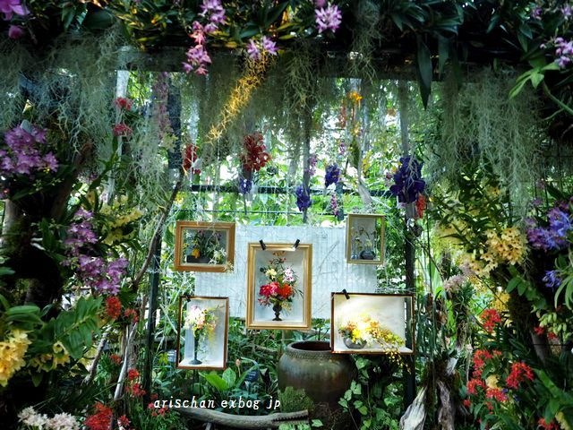 牧野植物園の蘭展２０１９☆_f0295238_13283963.jpg