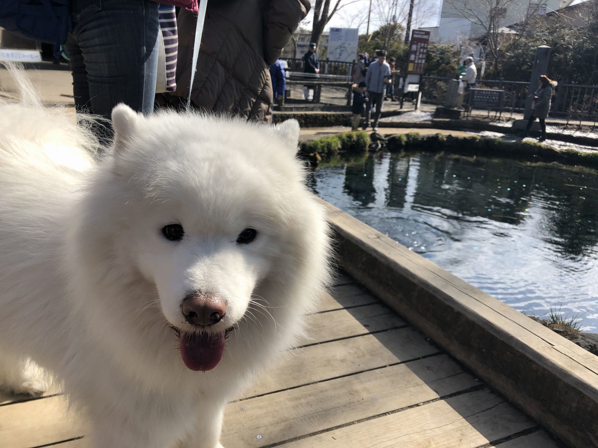 2019年ワフ 雪遊びオフ その3_f0128542_02553626.jpg