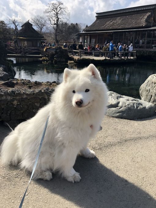 2019年ワフ 雪遊びオフ その3_f0128542_02564405.jpg