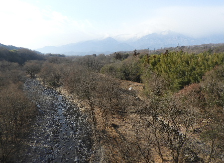 e0172950_1931236.jpg