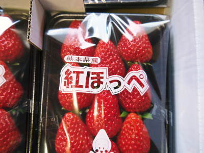 熊本産高級イチゴ『完熟紅ほっぺ』お急ぎ下さい！令和3年も美味しさへのこだわりゆえ4月中旬までの出荷です_a0254656_17352660.jpg
