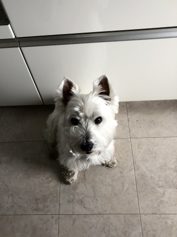 f0363961_14570826.jpeg