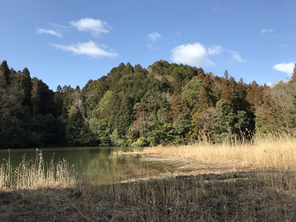 記憶を頼りに_e0167571_99041.jpg