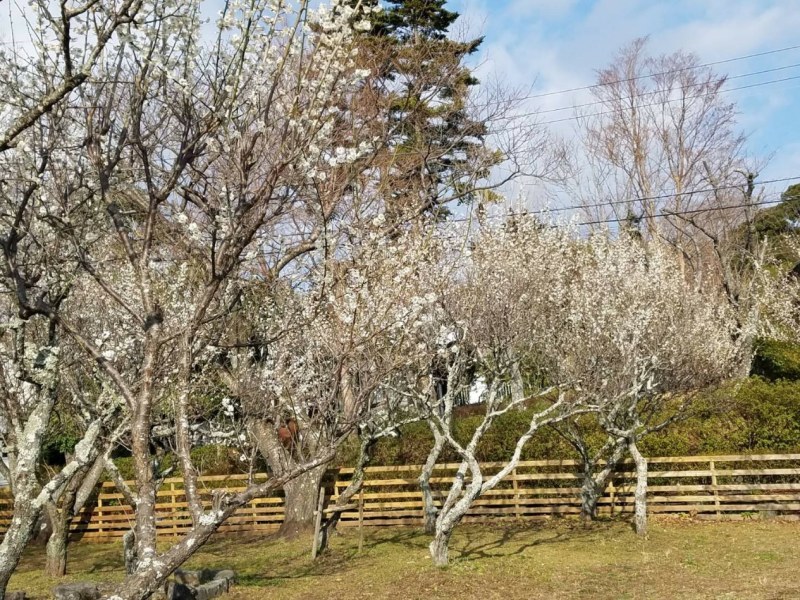 d0378077_22582371.jpg